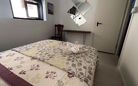 Tenerife Experience Hostel